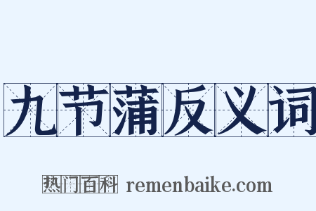 九节蒲反义词是什么意思的图片